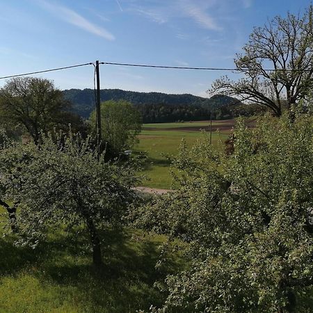 Bauernhof-Pension Puschnikhof Unternarrach 外观 照片