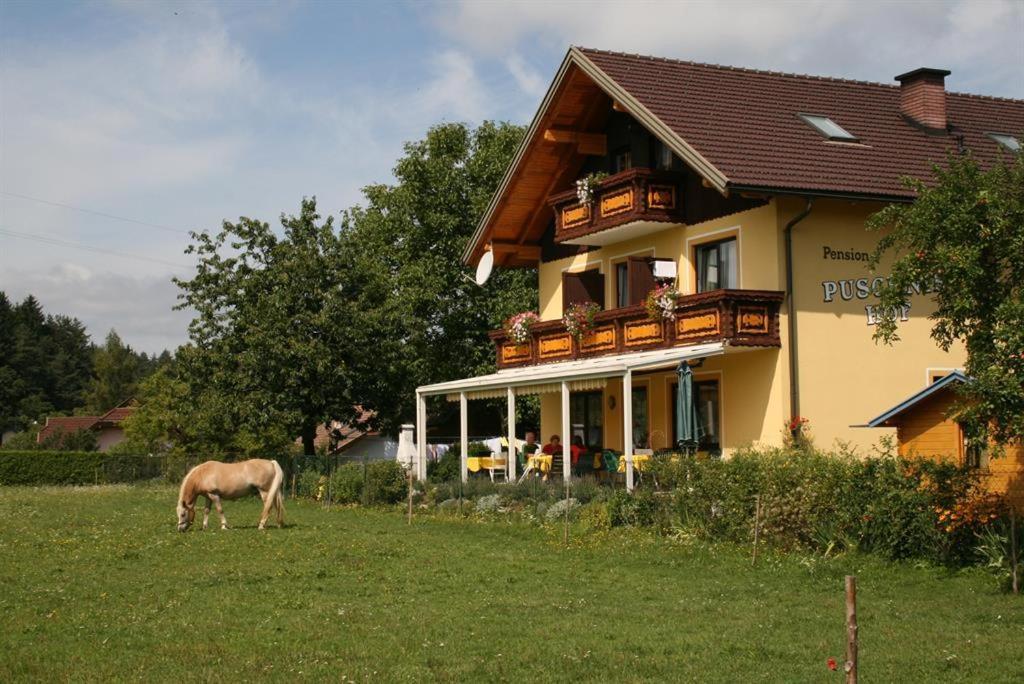 Bauernhof-Pension Puschnikhof Unternarrach 外观 照片