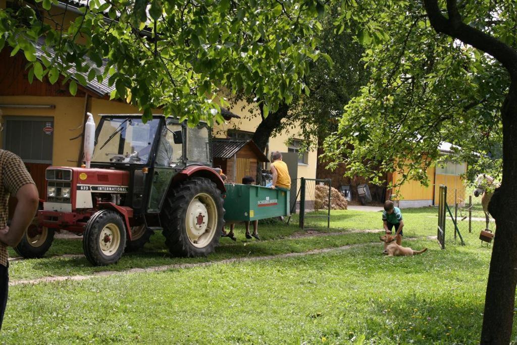 Bauernhof-Pension Puschnikhof Unternarrach 外观 照片