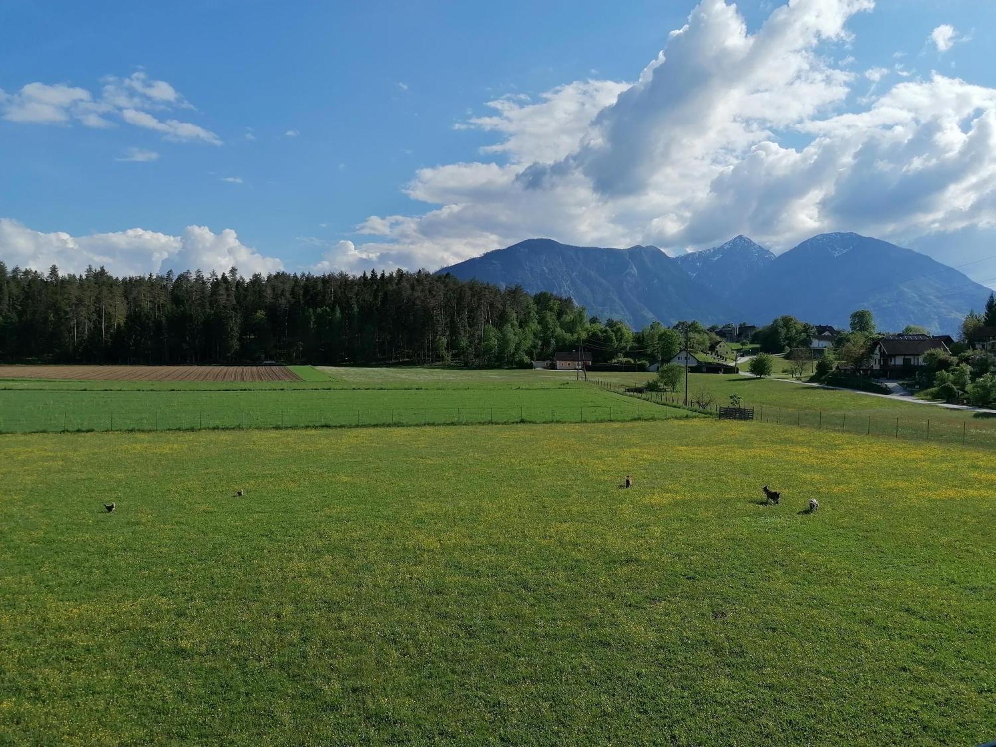 Bauernhof-Pension Puschnikhof Unternarrach 外观 照片