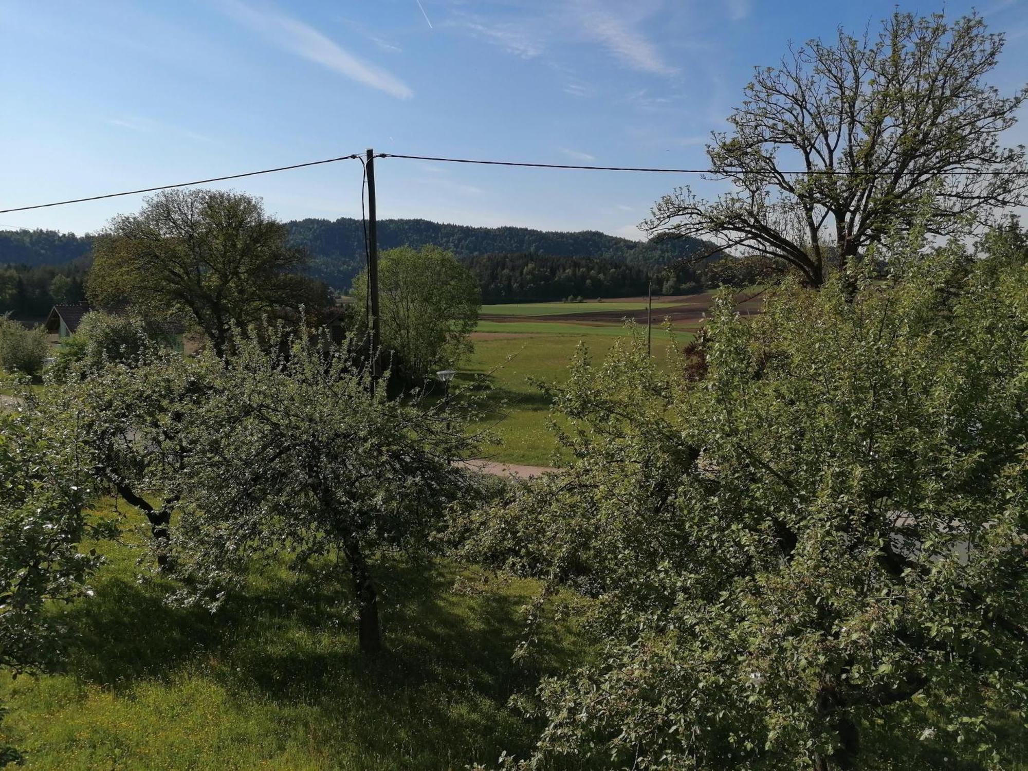 Bauernhof-Pension Puschnikhof Unternarrach 外观 照片
